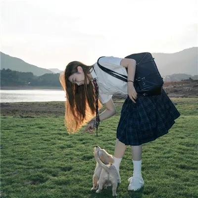 野兽群